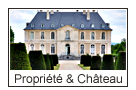 Achat, propriétés, châteaux, domaines, à vendre, en France, Immobilier luxe, Agences immoblières